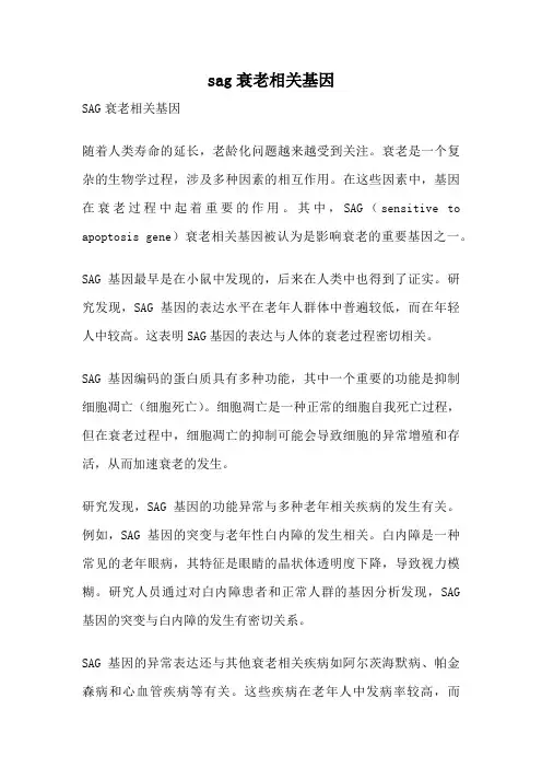 sag衰老相关基因