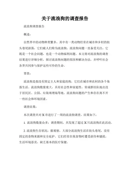 关于流浪狗的调查报告