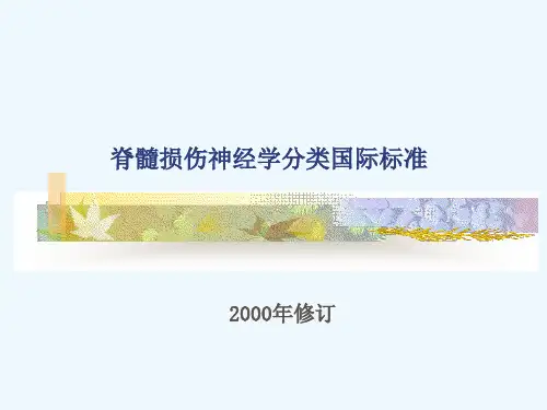 脊髓损伤神经学分类国际标准