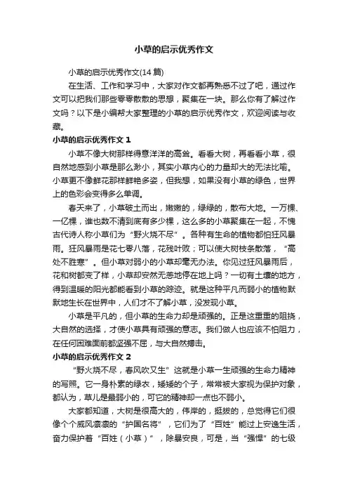 小草的启示优秀作文（14篇）