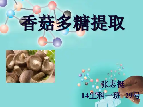 香菇多糖提取工艺(课堂PPT)