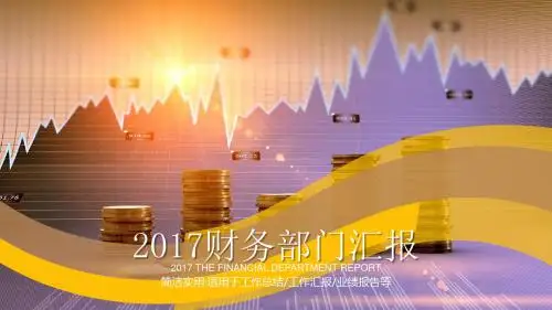 财务工作总结 年终工作总结 PPT模板