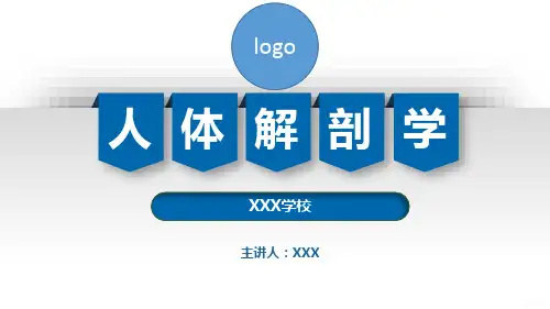 基本组织-人体解剖学-上皮组织、结缔组织、肌组织、神经组织