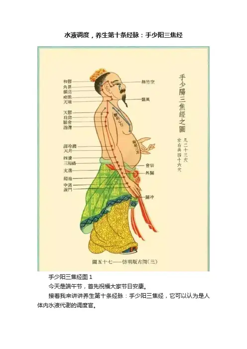 水液调度，养生第十条经脉：手少阳三焦经