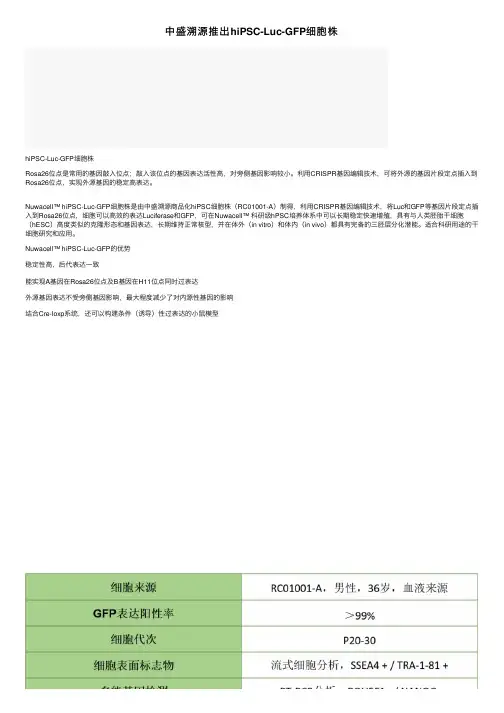 中盛溯源推出hiPSC-Luc-GFP细胞株