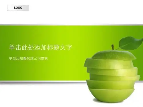精美PPT模板