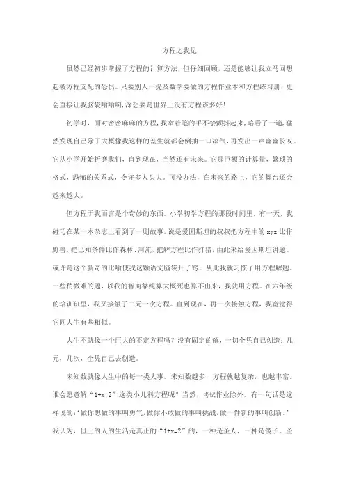 方程之我见论文1000字初一