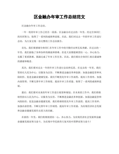 区金融办年审工作总结范文