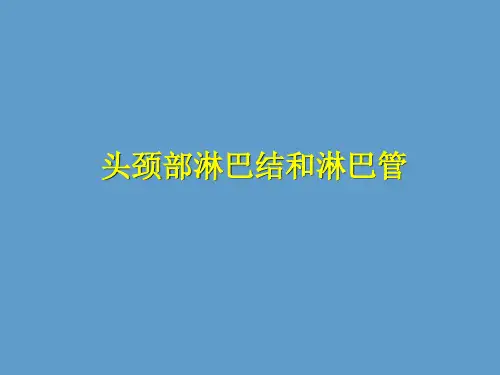口腔解剖生理课件：头颈部淋巴结和淋巴管