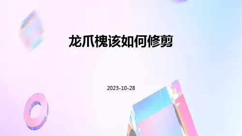龙爪槐该如何修剪