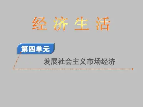 2020届高考政治[必修1]总复习精品课件：4.9走进社会主义市场经济