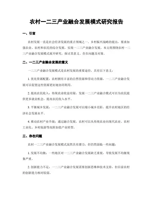 农村一二三产业融合发展模式研究报告