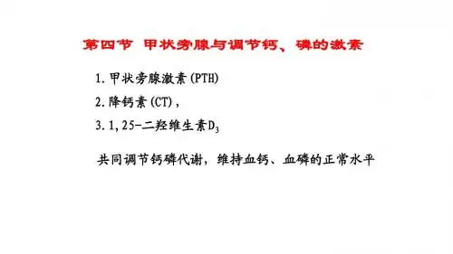 调节钙磷代谢的激素.pptx
