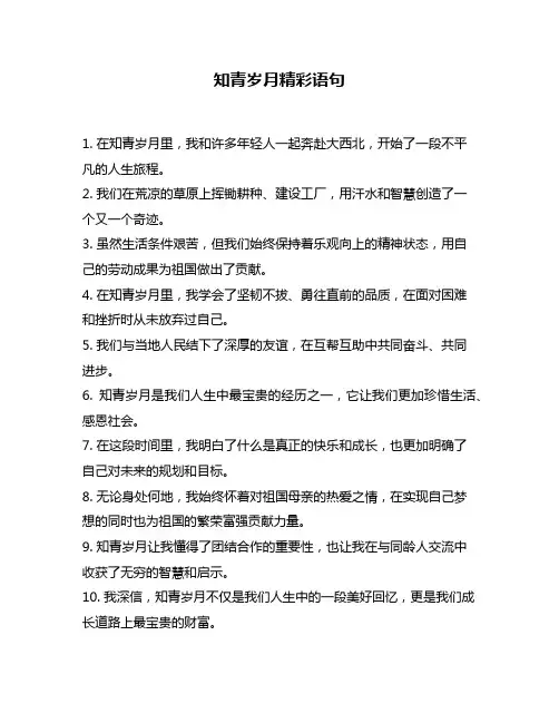 知青岁月精彩语句