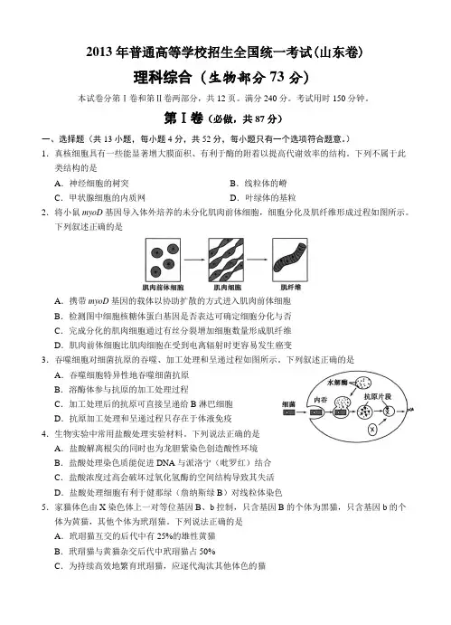 2013年高考理综生物试卷及答案(山东卷)