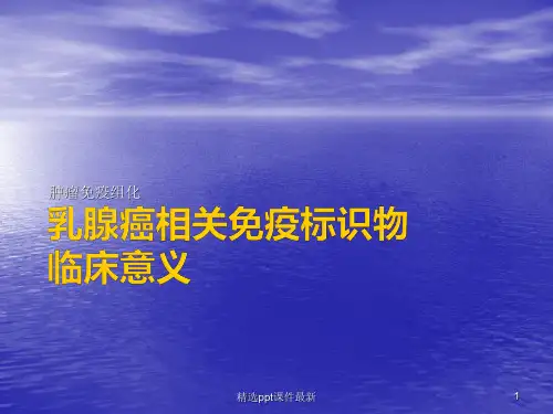 乳腺癌的免疫标志物PPT课件