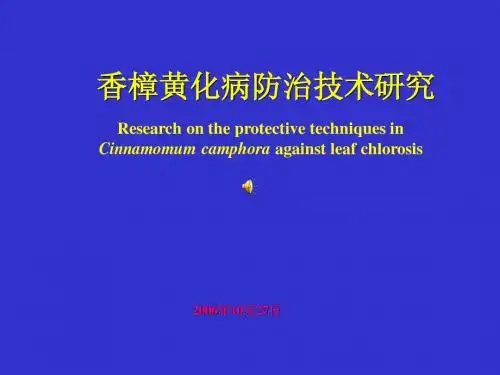 香樟黄化病防治技术研究