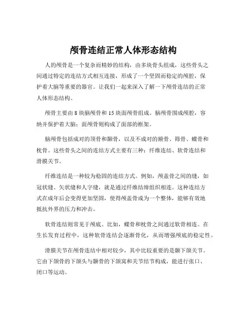 颅骨连结正常人体形态结构