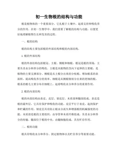 初一生物根的结构与功能