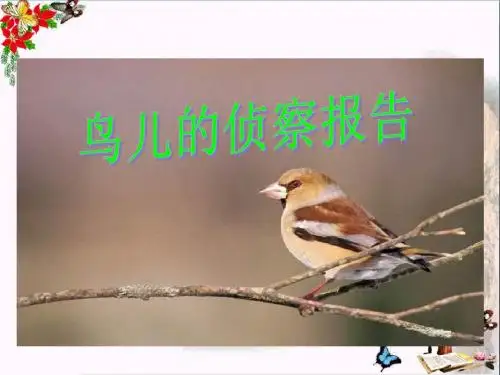 三年级语文下册第4单元16《鸟儿的侦察报告》 精品优选PPY课件7语文S版