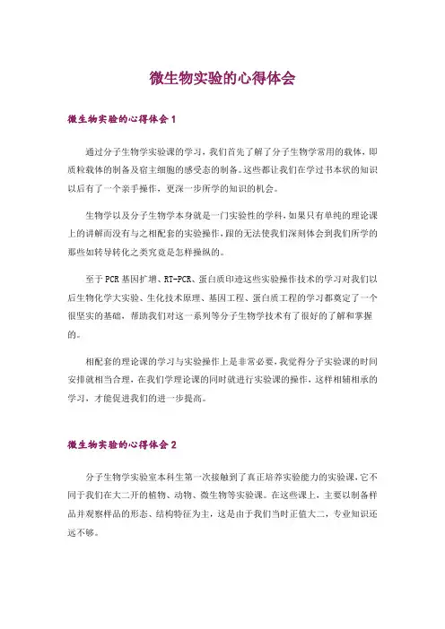 微生物实验的心得体会