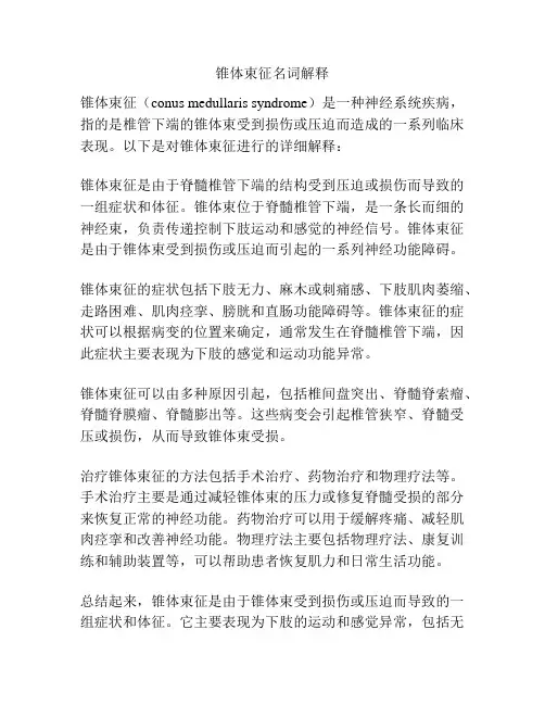 锥体束征名词解释