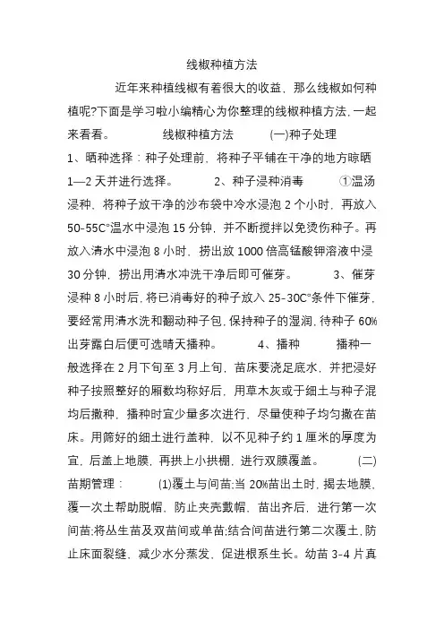 线椒种植方法