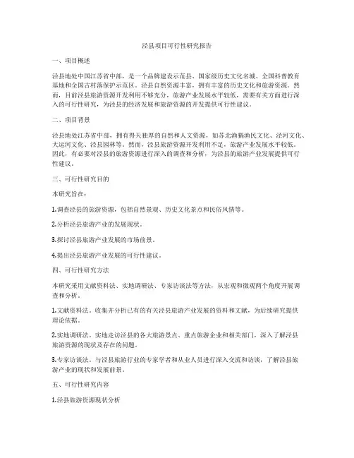 泾县项目可行性研究报告