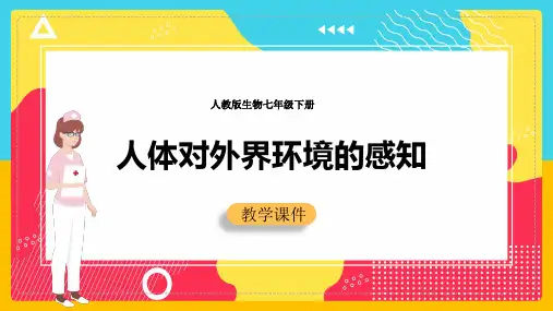 初中生物人教版七年级下册《第六章第一节人体对外界环境的感知》课件