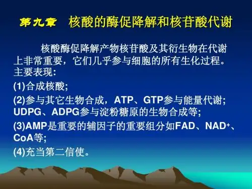 第九章核酸的酶促降解和核苷酸代谢