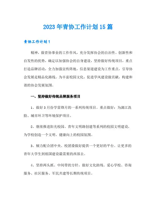 2023年青协工作计划15篇