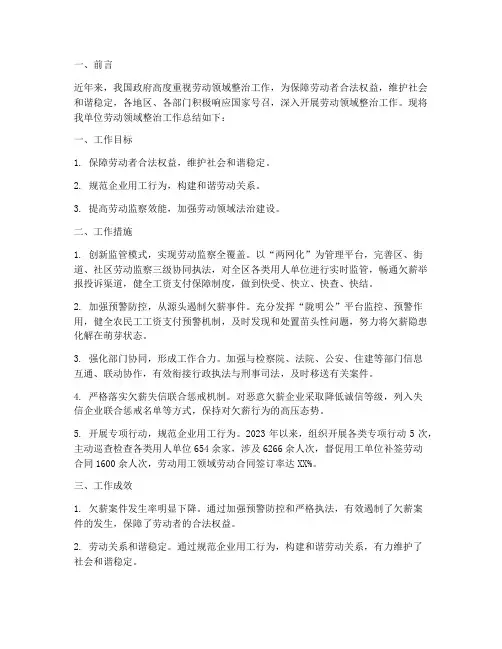 劳动领域整治工作总结报告