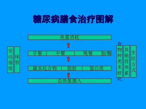 2型糖尿病饮食PPT课件