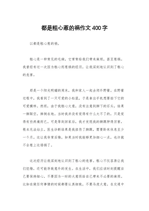 都是粗心惹的祸作文400字