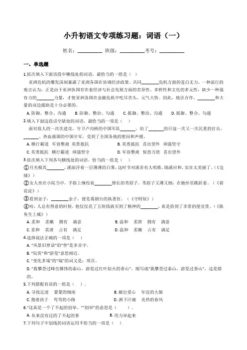 小升初语文专项练习题：词语(一)(Word版,含答案)
