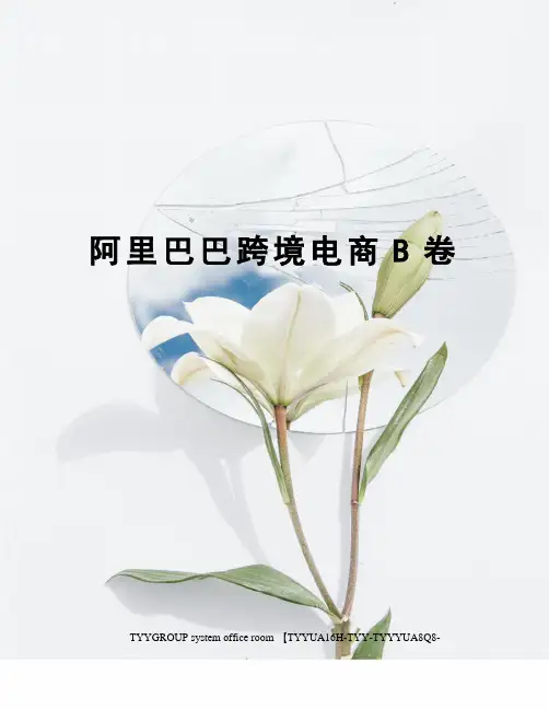 阿里巴巴跨境电商B卷