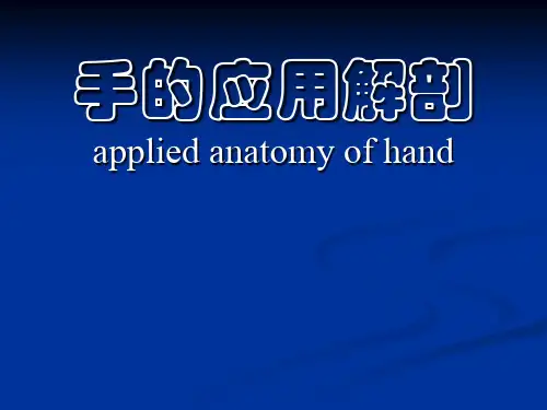 【局部解剖学】手的应用解剖PPT课件
