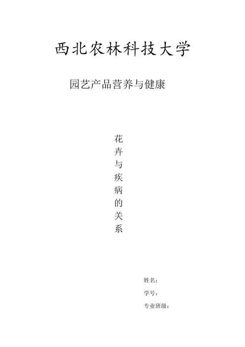 园艺产品营养与健康