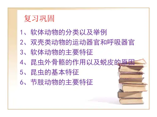 5.1.4鱼课件-人教版生物八年级上册