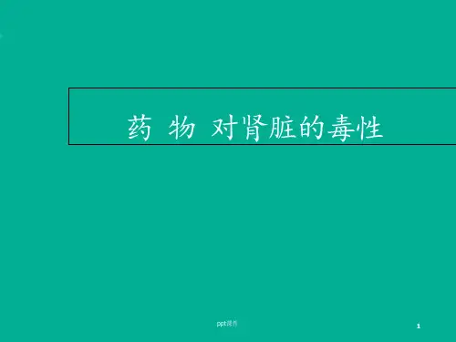药物对肾脏的毒性--课件
