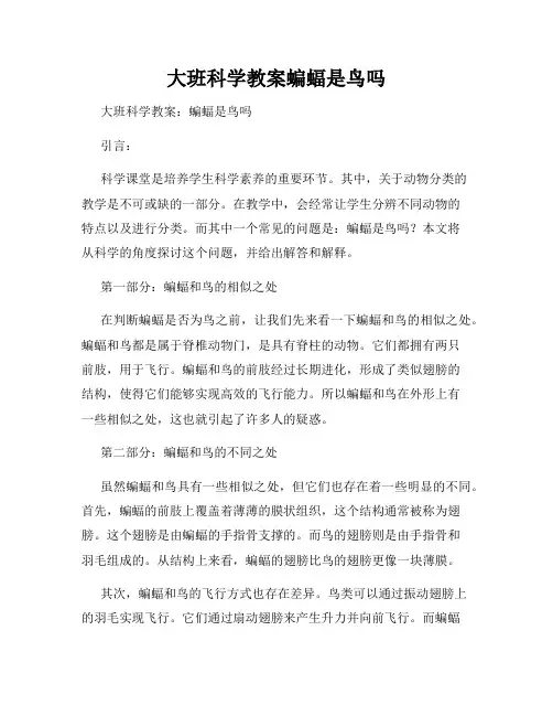 大班科学教案蝙蝠是鸟吗