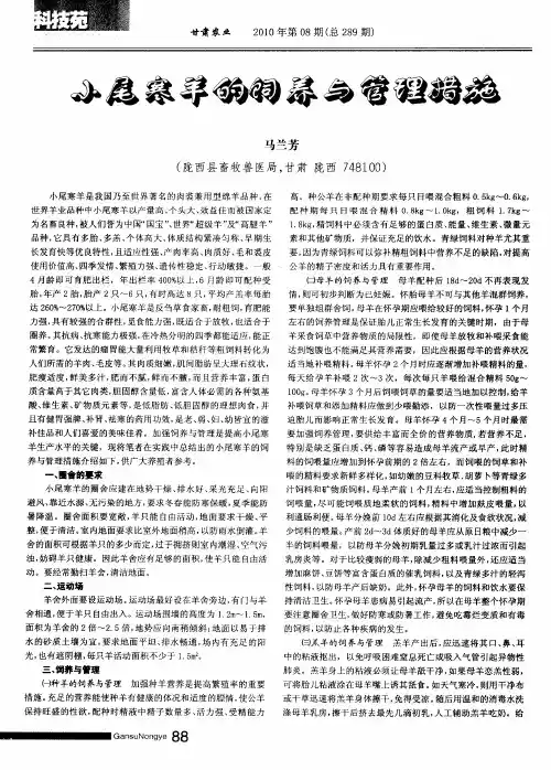小尾寒羊的饲养与管理措施