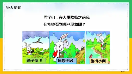 雷雨优质教学课件市公开课一等奖省优质课获奖课件.pptx