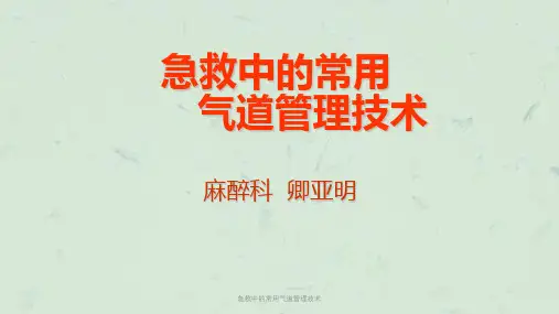 急救中的常用气道管理技术课件