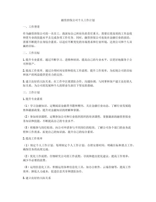 融资担保公司个人工作计划
