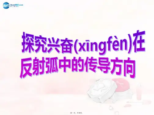 高考生物大一轮复习 实验专题 探究兴奋在反射弧中的传导方向课件 苏教版