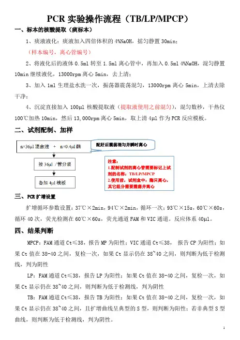 PCR实验操作流程