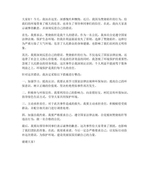 焚烧秸秆检讨发言稿范文