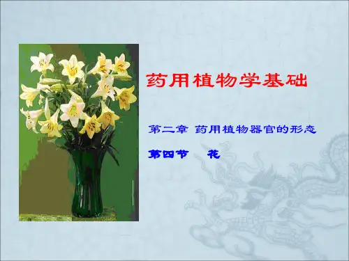 《植物器官花》PPT课件