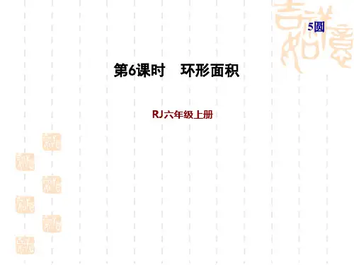 人教版六年级上册数学第5单元 圆 第5课时 圆环的面积(习题课件)